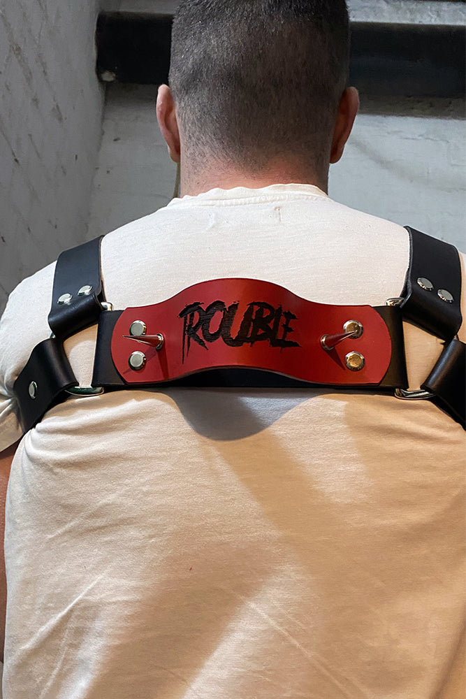 
                  
                    Load image into Gallery viewer, Bespoke Harness Design Deposit | Leather
                  
                