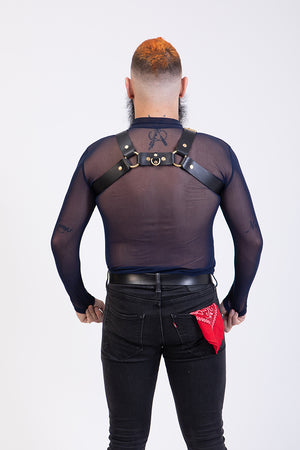 
                  
                    Load image into Gallery viewer, H Style | Leather Harness
                  
                