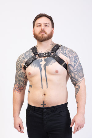 
                  
                    Load image into Gallery viewer, H Style | Leather Harness
                  
                