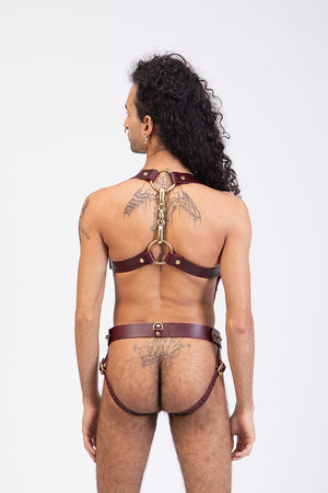 
                  
                    Load image into Gallery viewer, Body Harness and Gent Jock Bundle  | Leather
                  
                