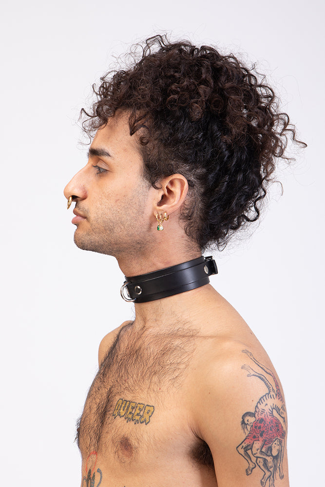 
                  
                    Load image into Gallery viewer, Collar | Buckle Closure with D ring | Leather
                  
                