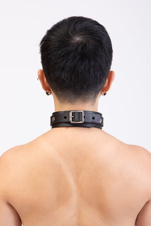 
                  
                    Load image into Gallery viewer, Collar | Buckle Closure with D ring | Leather
                  
                