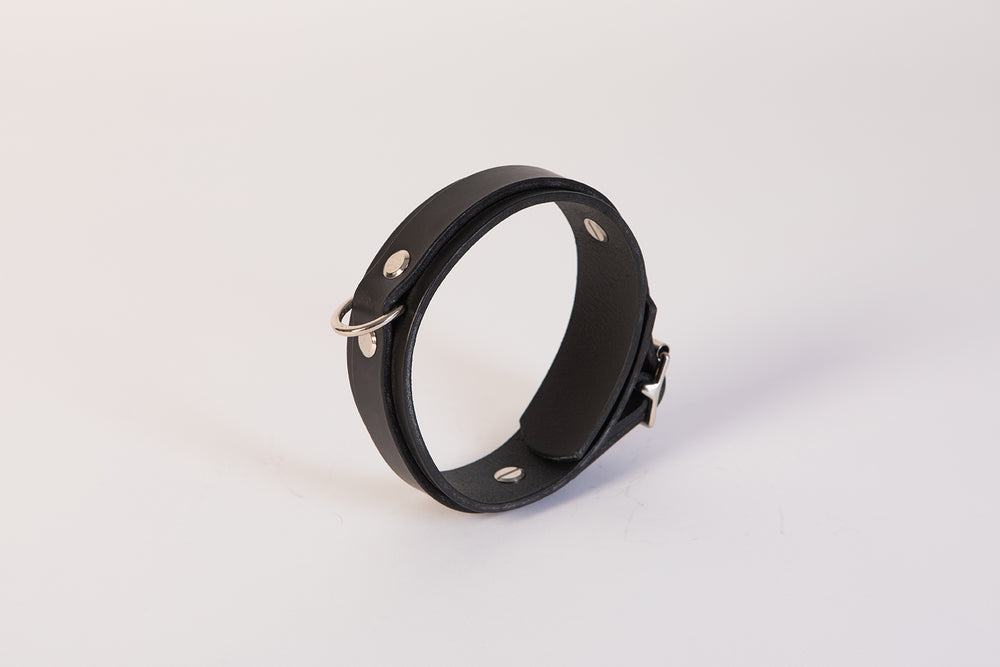 
                  
                    Load image into Gallery viewer, Collar | Buckle Closure with D ring | Leather
                  
                