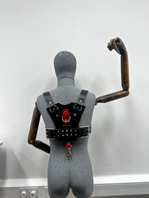 
                  
                    Load image into Gallery viewer, SAMPLE SALE - Leather Harness
                  
                