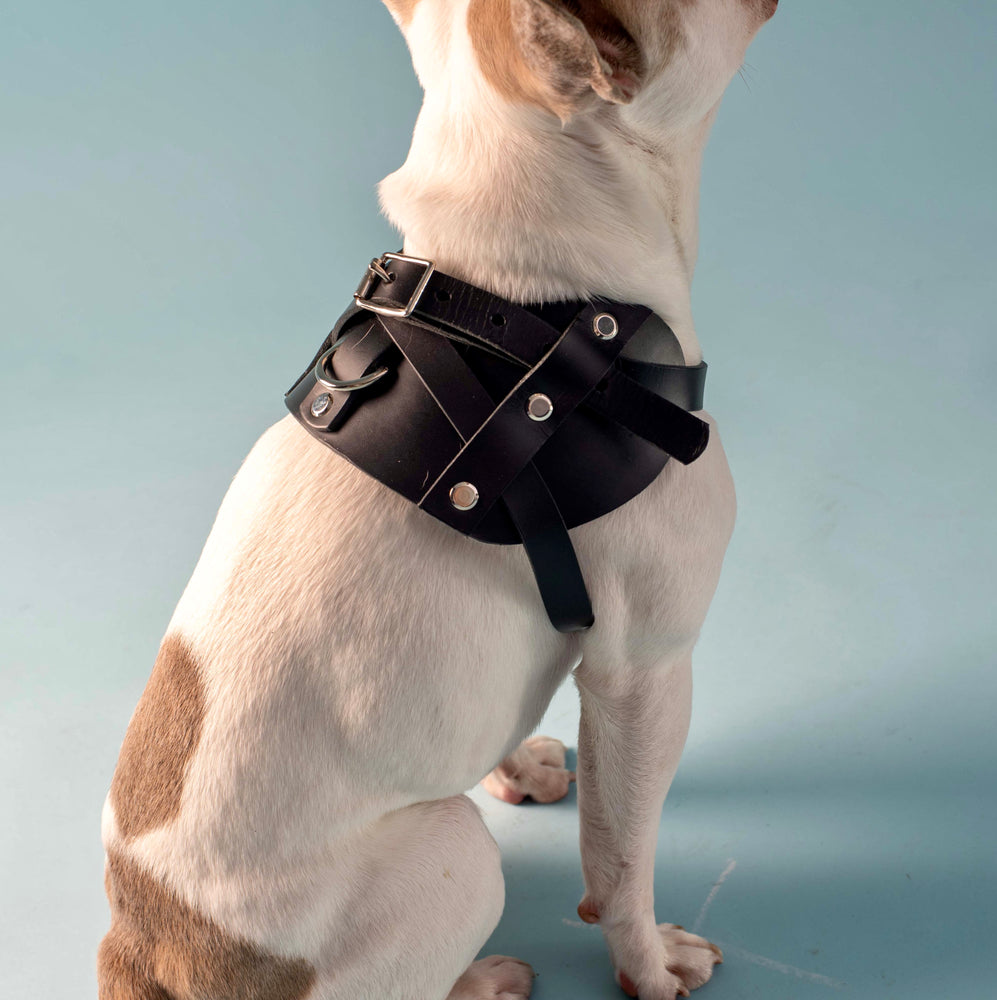 
                  
                    Load image into Gallery viewer, SAMPLE SALE - K9 Leather Dog Harness - Medium size dog
                  
                