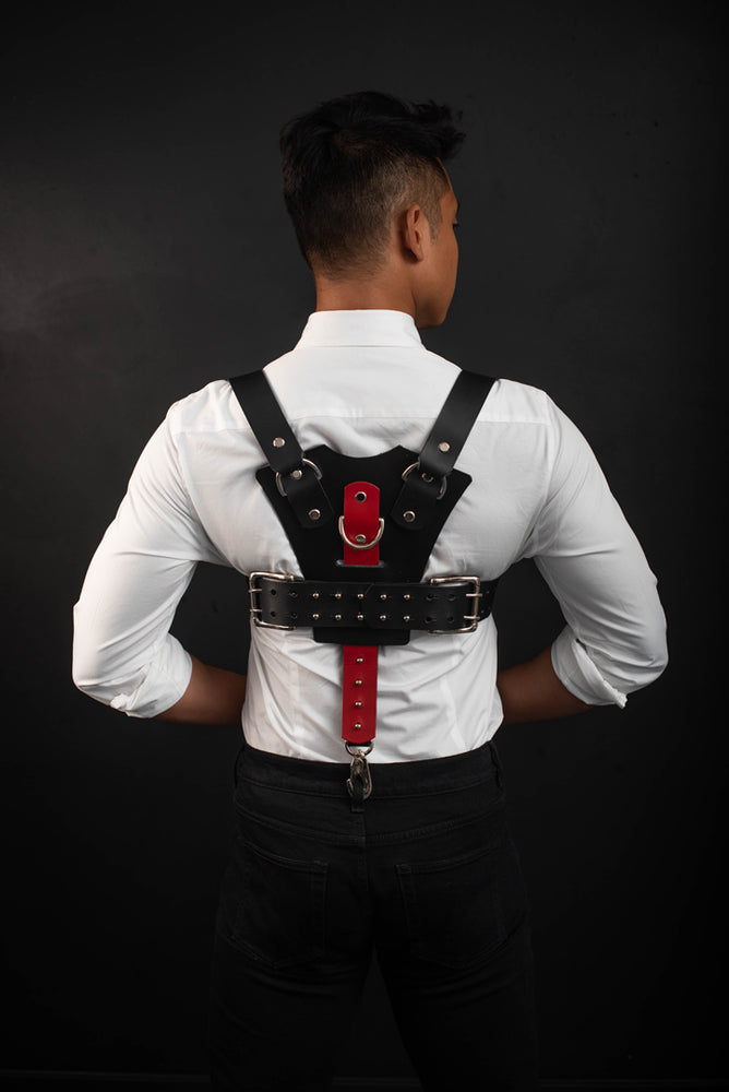 
                  
                    Load image into Gallery viewer, Dolf | Leather Harness
                  
                