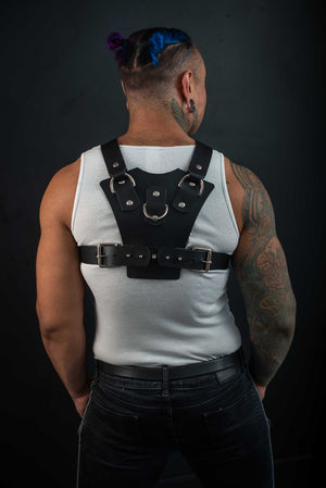 
                  
                    Load image into Gallery viewer, Rocco | Leather Harness
                  
                