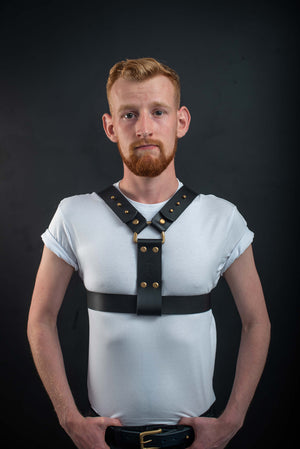 
                  
                    Load image into Gallery viewer, Logan | Leather Harness
                  
                