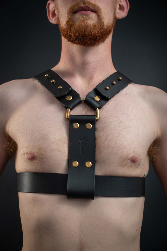 
                  
                    Load image into Gallery viewer, Logan | Leather Harness
                  
                